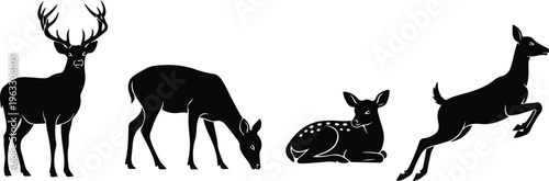 Deer and Stag Silhouette Collection