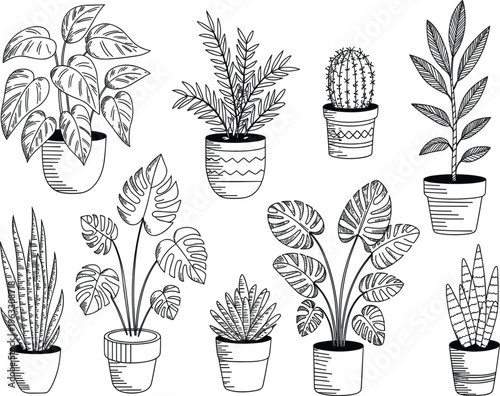 Vector hand drawn set of indoor house plants in pots including monstera, cactus, and succulents