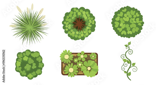 Set of 6 Green Top View Garden Plants Vector