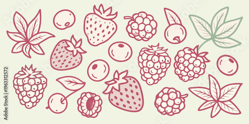 A colorful sketch displaying various berries and leafy botanical elements