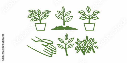 Simple green illustration depicting potted plants foliage and gardening tools