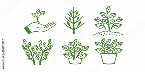 Growing plants illustrated in stages from seedling to mature foliage