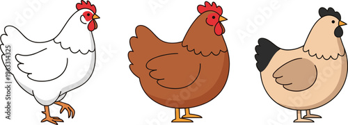 Chicken Vector Set Featuring Cartoon Hen in White, Brown and Beige Colors Farm Poultry Illustration Isolated on White Background