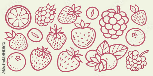 A collection of hand drawn red berries and citrus fruit sketches