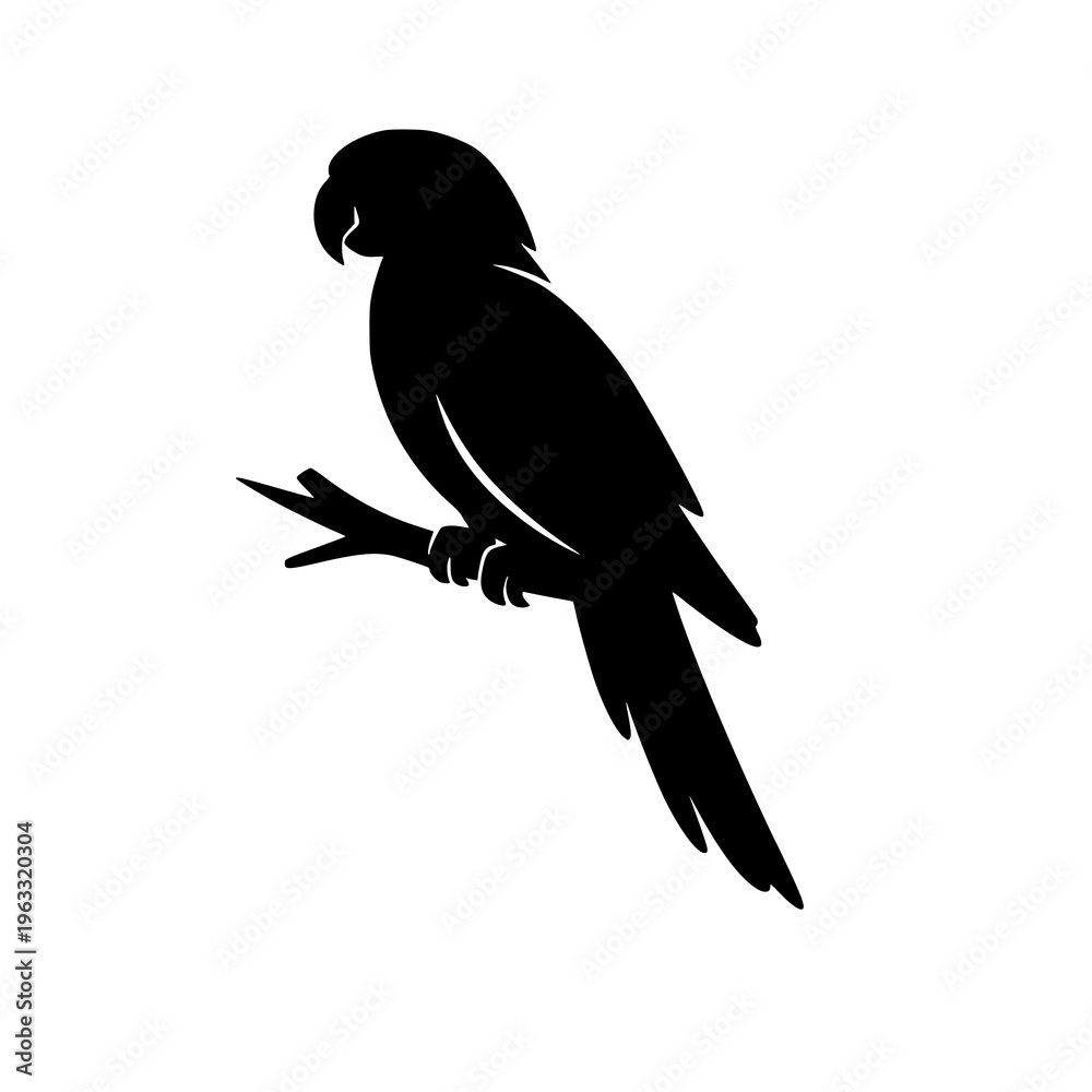 Fototapeta premium Silhouette of a parrot perched on a small tree branch