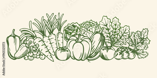 A hand drawn illustration of assorted fresh vegetables in green tones