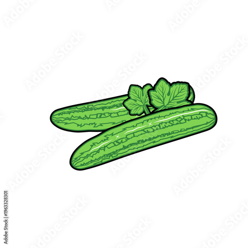 fresh bitter melon vector illustration