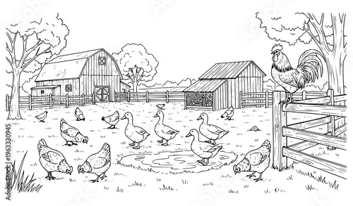Farmyard Birds Landscape Sketch Vector with Chickens Ducks and Rooster Rural Scene Line Art Illustration