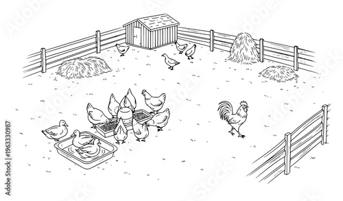 Minimal Farm Bird Yard Top View Vector Sketch with Chickens Ducks and Feeding Area Outline Illustration