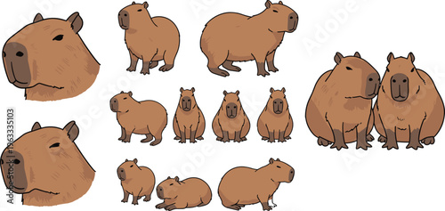 Capybara Animal Character Set with Multiple Poses Cute Cartoon Rodent Wildlife Illustration for Educational Materials, Children Books, Apps, and Nature Design Projects