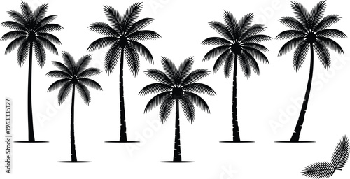 Palm tree silhouettes vector set tropical coconut trees black isolated summer beach nature collection clipart illustration design elements bundle