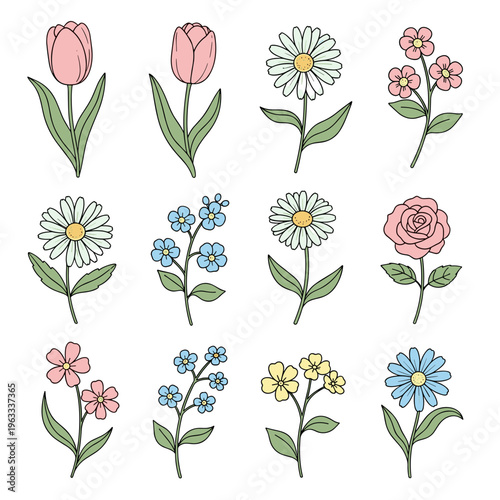 Set of Pastel Colored Flower and Tulip Sketches