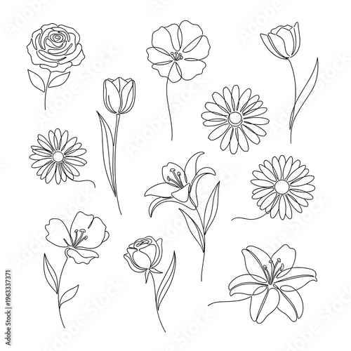 Minimalist Hand Drawn Flower and Tulip Line Art