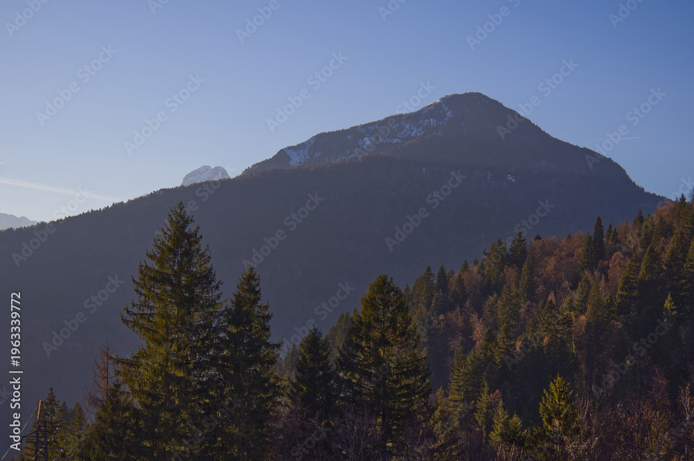 Obraz premium Majestic Alpine Mountain Landscape with Snow-Capped Peak and Evergreen Pine Forest Under Clear Blue Sky