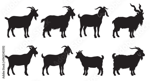 black and white vector silhouette set of Goats