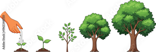 Tree Growth Stages Vector Set Featuring Plant Development from Seedling to Mature Tree with Hand Planting Concept for Nature and Environmental Illustration Design