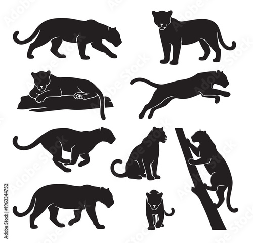 black and white vector silhouette set of jaguar animal.