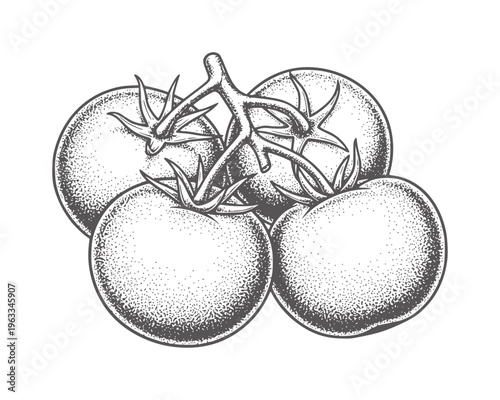 Black and white dotwork of three tomatoes with stems connected monochrome