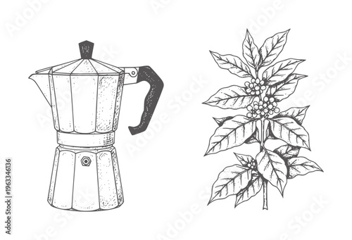 Black and white line of stovetop coffee maker and coffee plant branch