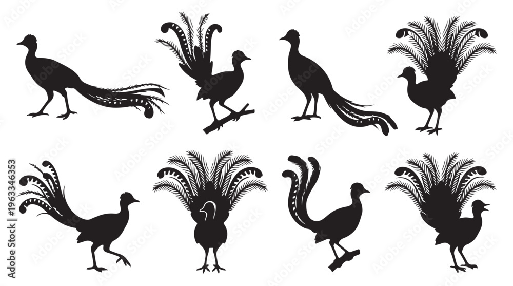 Naklejka premium black and white vector silhouette set of Lyrebird