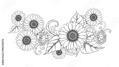 Intricate black and white sunflower and foliage decorative sunflowers petals leaves