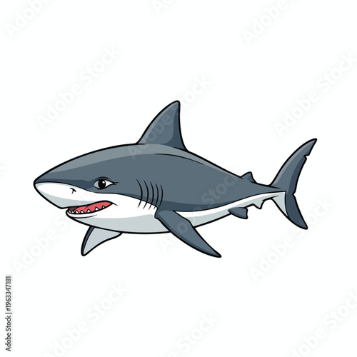 Cartoon illustration of a grey shark with white belly and sharp teeth