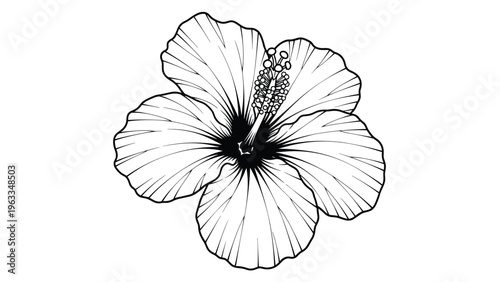 Detailed black and white line art illustration of a beautiful hibiscus flower with intricate petals and stamen on a plain background.