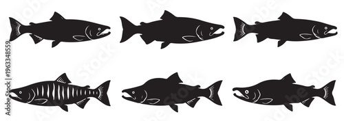 black and white vector silhouette set of salmon