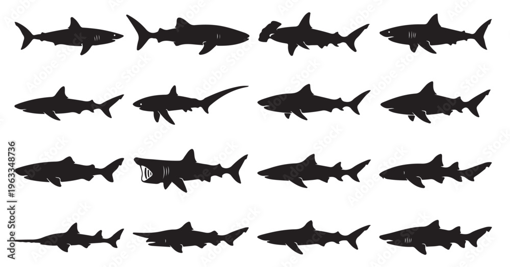 Fototapeta premium black and white vector silhouette set of Shark