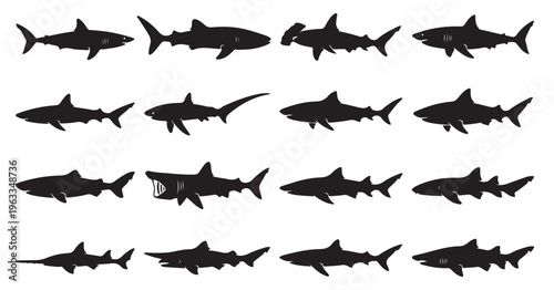black and white vector silhouette set of Shark