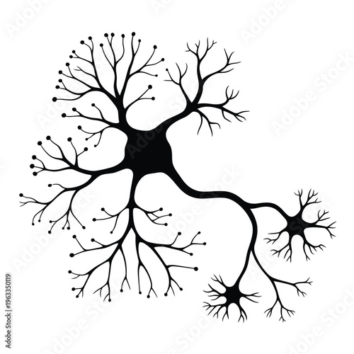 Illustration of interconnected neurons with branching dendrites and a cell body