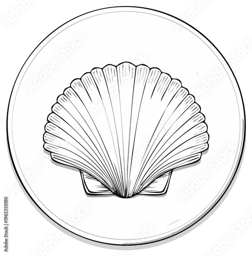 Detailed scallop shell outline illustration in a clean round frame vector art