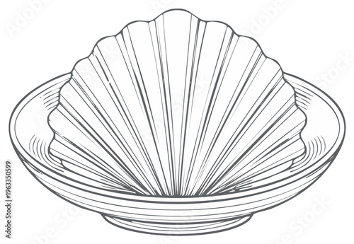 Stylized Seashell Clam Illustration Line Art Drawing