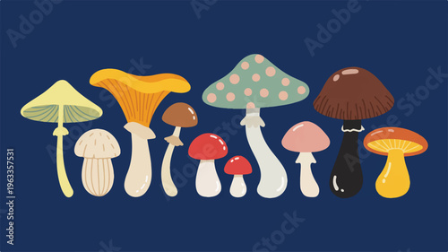 Whimsical Mushroom Variety: A colorful illustration showcases a collection of diverse and enchanting mushrooms against a backdrop, inviting viewers into a world of natural wonder and imagination.