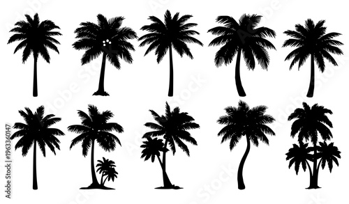 Collection of black silhouette palm trees on white background