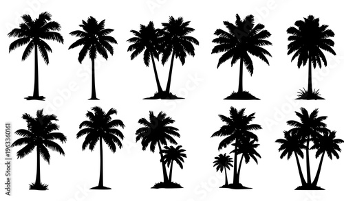 Collection of black silhouette palm trees on white background