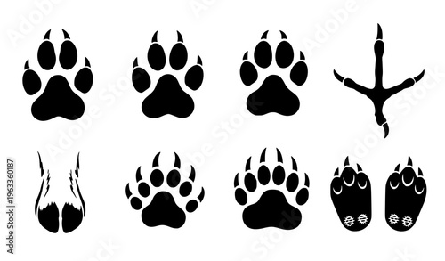 Collection of animal paw prints and footprints