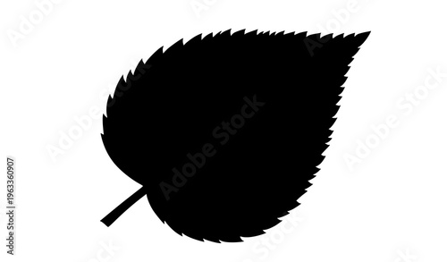 Black silhouette of a leaf on a white background