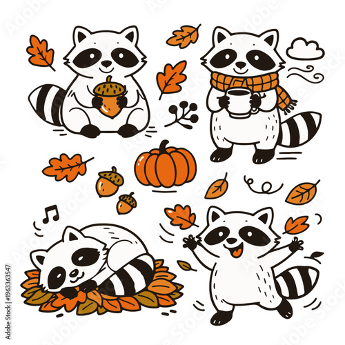 raccoon autumn four raccoons