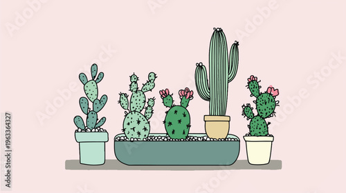 Cactus Garden: A curated collection of diverse cactus plants thrives in a harmonious indoor oasis.