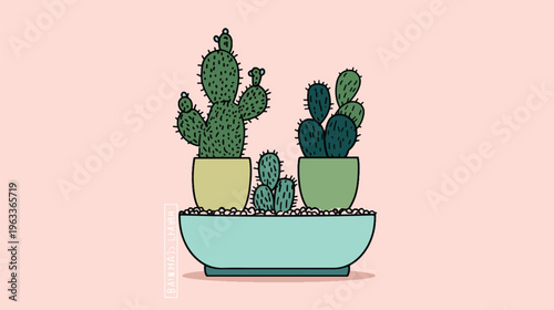 Cactus Plants in a pot: a simple illustration of diverse cactus plants potted in pastel colored pots, with a focus on shapes, textures, and the overall minimalist composition.