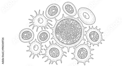 Virus cells with membrane spikes.