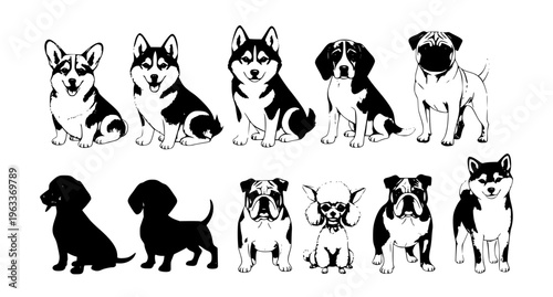 Watercolor dog breeds vector set with realistic hand painted corgi husky pug beagle labrador dachshund pets isolated on white