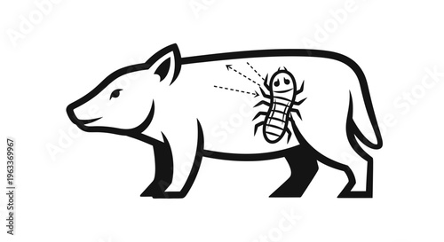 Bear with tick on body.