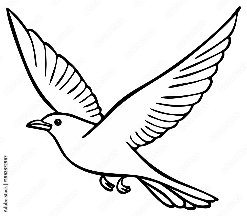 Fototapeta premium Soaring bird illustration, outline, wings spread, in flight, artistic concept.