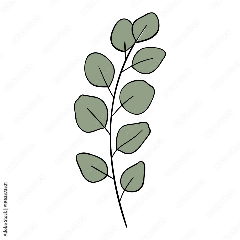 Fototapeta premium Minimal Green Leaves Branch Botanical Line Vector Illustration