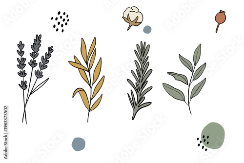 Herbs and Plants Collection with Lavender Rosemary and Leaves Botanical Vector Set