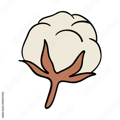 Cotton Flower Boll Minimal Line Vector Illustration
