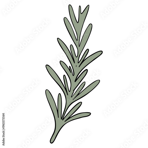 Minimal Green Leaves Branch Botanical Line Vector Illustration
