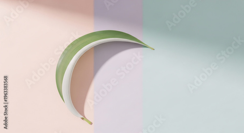 A green and white curved object on a pastel background
